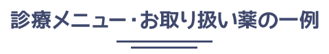 診療メニュー・お取り扱い薬の一覧